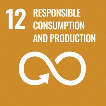 GOAL 12 – RESPONSIBLE CONSUMPTION AND PRODUCTION