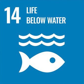 GOAL 14 – CONSERVATION OF MARINE ECOSYSTEMS