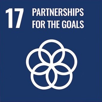 GOAL 17 – PARTNERSHIP FOR SUSTAINABLE DEVELOPMENT